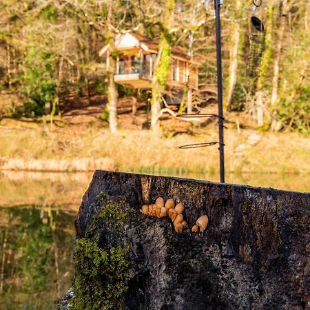 Finest Retreats - The Tree House - Eco-Friendly, Back To Nature Experience Germansweek Exterior photo