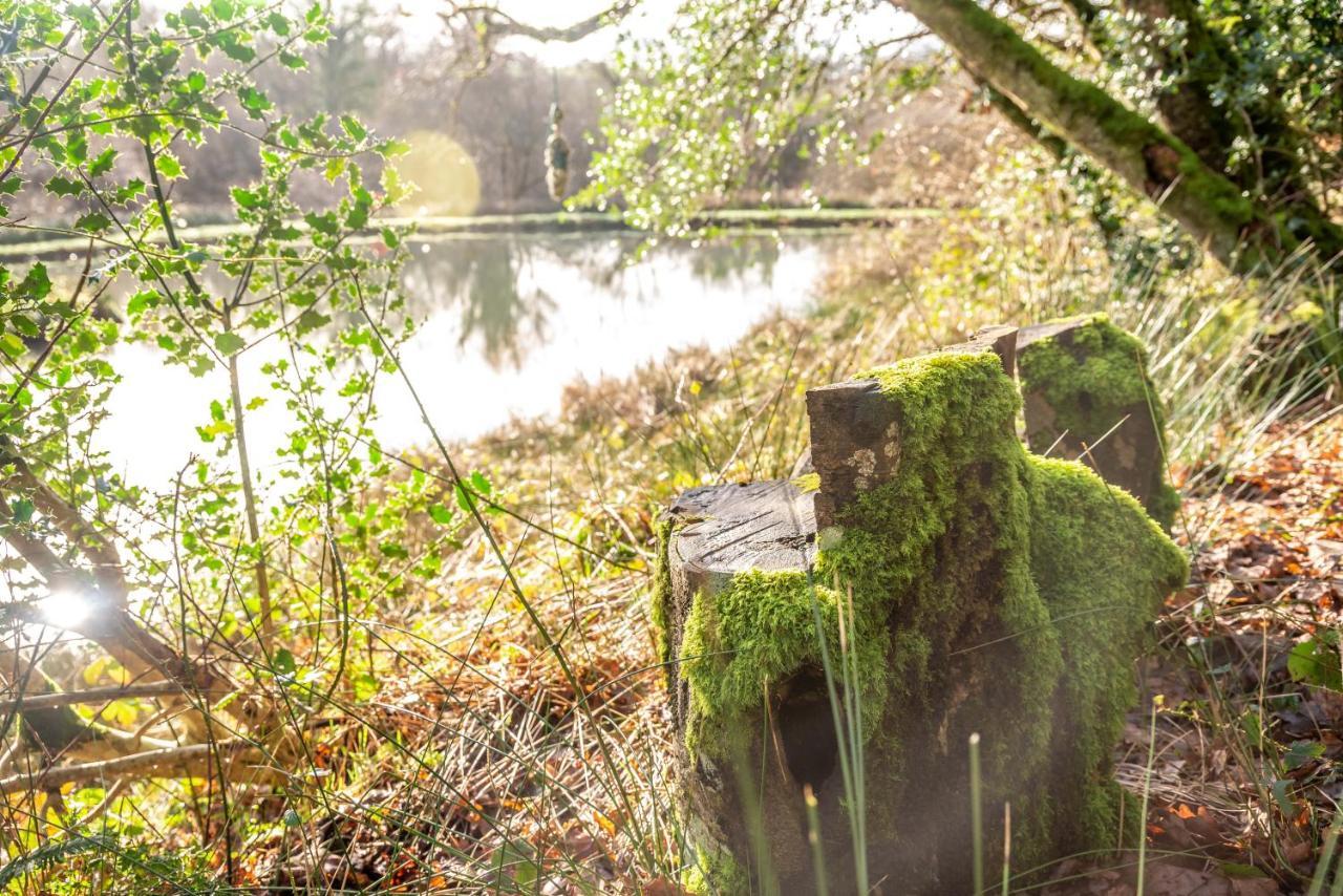 Finest Retreats - The Tree House - Eco-Friendly, Back To Nature Experience Germansweek Exterior photo