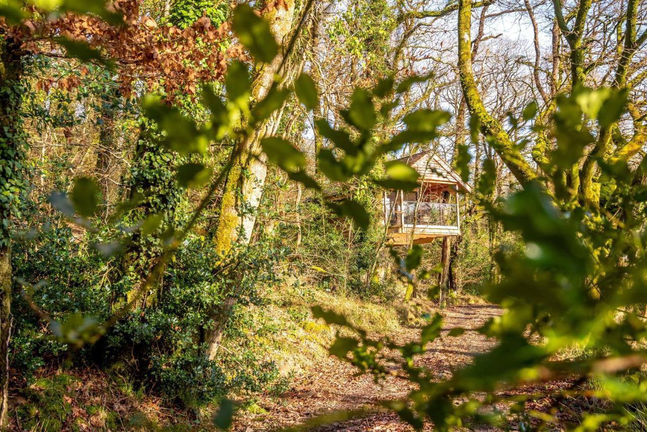 Finest Retreats - The Tree House - Eco-Friendly, Back To Nature Experience Germansweek Exterior photo